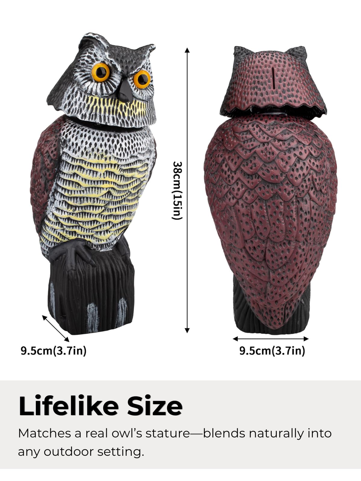 Pestvanish owl lifelike silhouette enhances curb appeal and charm