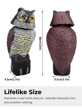 Pestvanish owl lifelike silhouette enhances curb appeal and charm