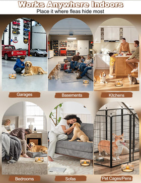 Pestvanish pet-safe trap for bedrooms supports clean pest management