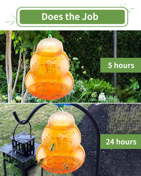 Pestvanish Wasp Trap 6-entry design, easy to attract and trap multiple insects.