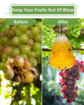 Pestvanish Wasp Trap bait dispersion holes, enhanced scent distribution for better capture.