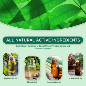 PestXDrops Mint Scent Rodent Ball Diffusion: long-lasting natural protection against pests.