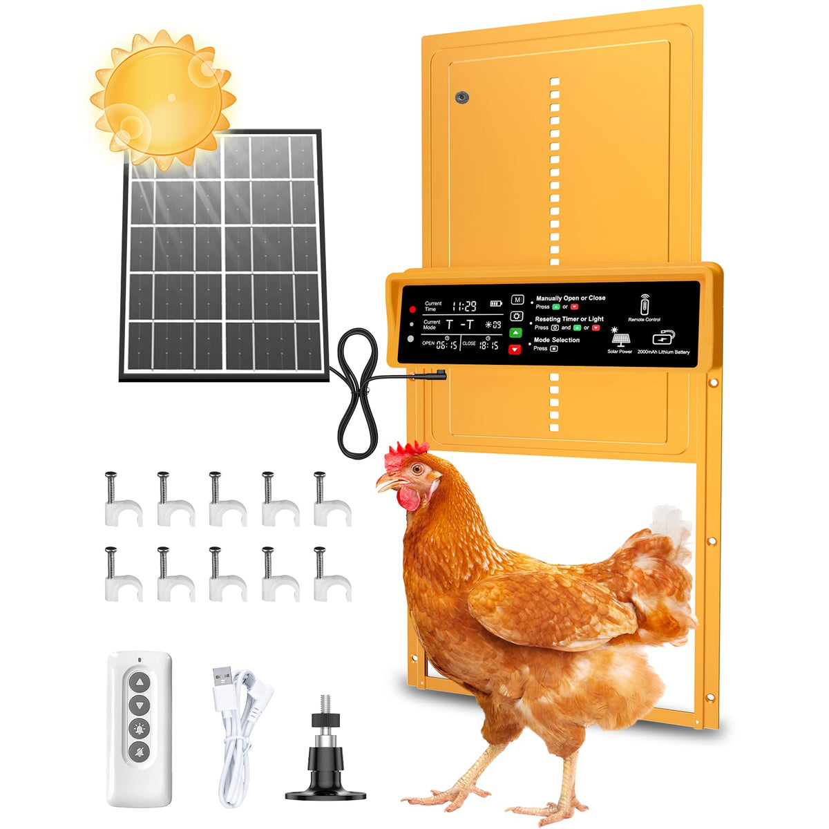 Pet Deluxe automatic coop door front view shows sturdy frame for outdoor use.