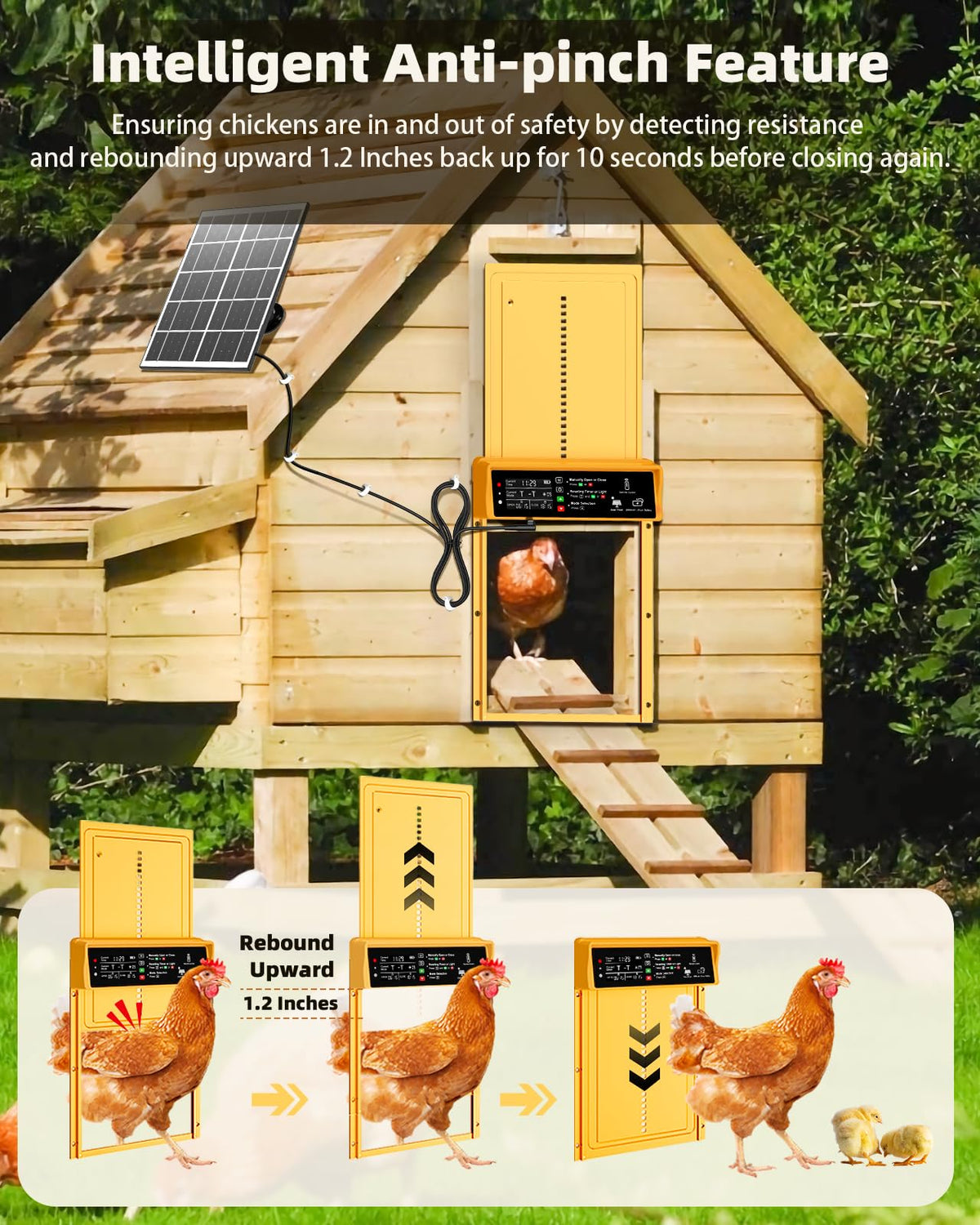 Pet Deluxe programmable light sensor demonstrates flexible flock automation.