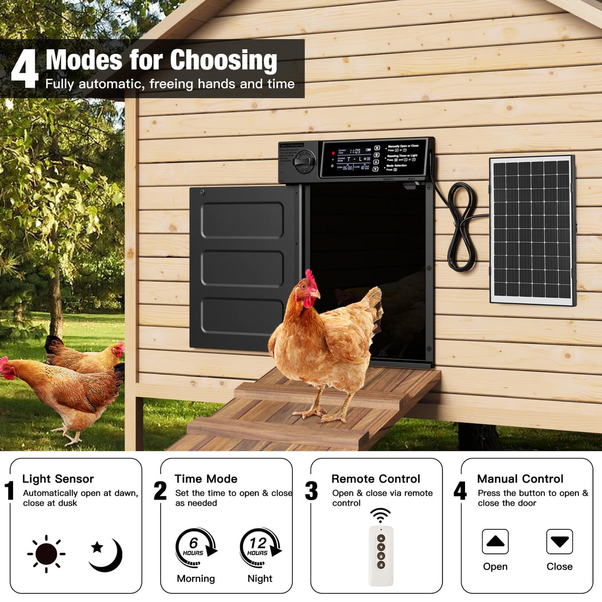 Pet Deluxe remote control panel usage demonstrates flexible, hands-free operation for easy chicken management.