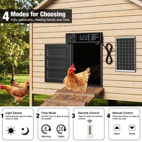 Pet Deluxe remote control panel usage demonstrates flexible, hands-free operation for easy chicken management.