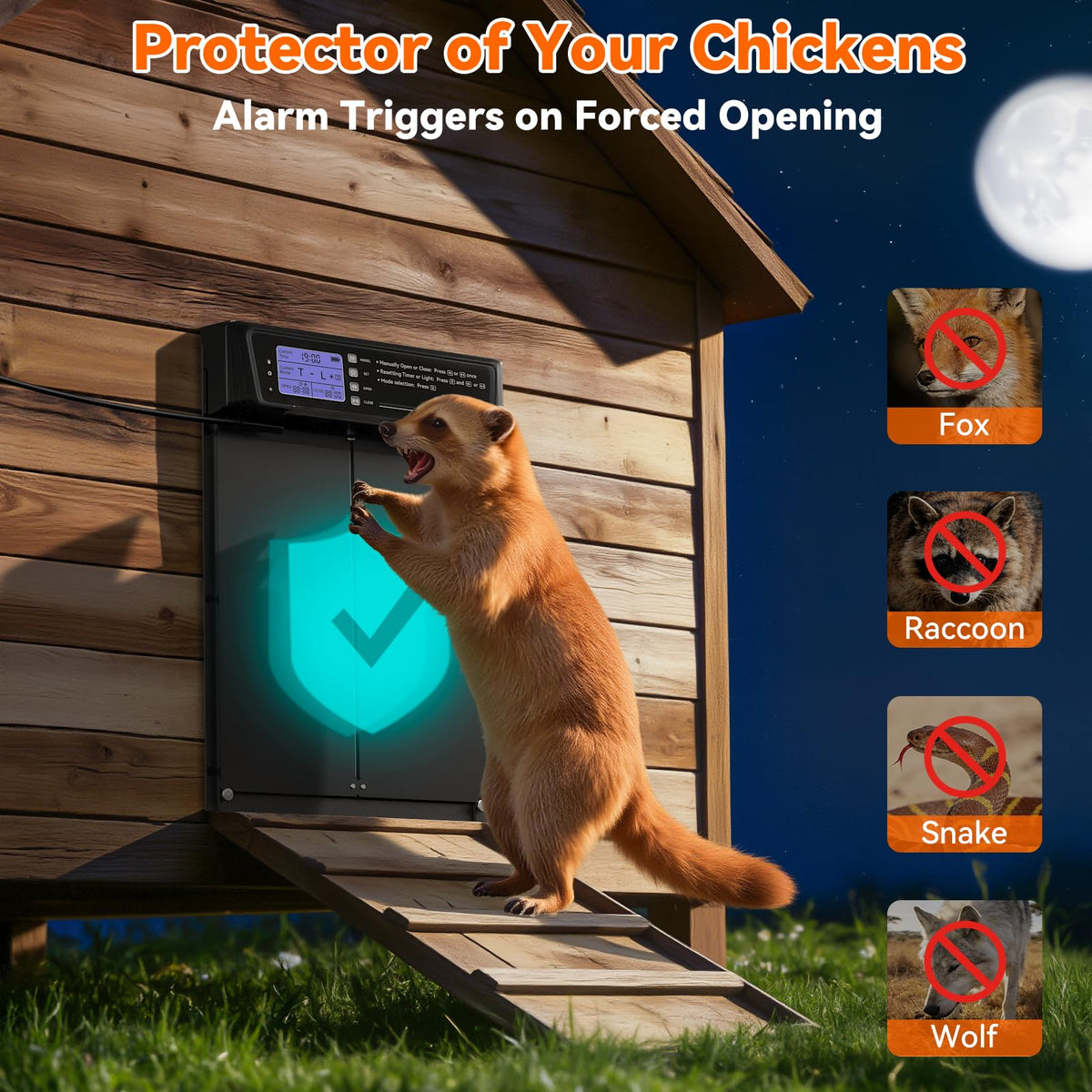 Pet Deluxe solar plus USB backup keeps flock routine during cloudy days