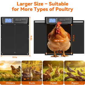 Pet Deluxe compatible with ducks, geese, and smaller poultry