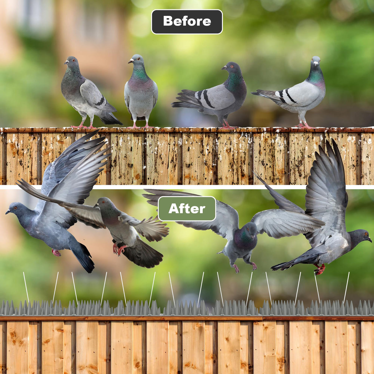 Petfolio swallow-nesting deterrent helps reduce nesting on eaves.