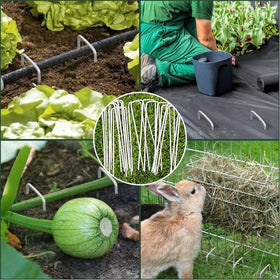 Petgrow stakes secure fences and weed barriers for tidy landscape edges.