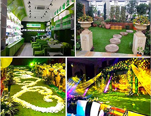Petgrow weather-resistant green lawn stays vibrant through rain or sun.