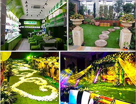 Petgrow weather-resistant green lawn stays vibrant through rain or sun.