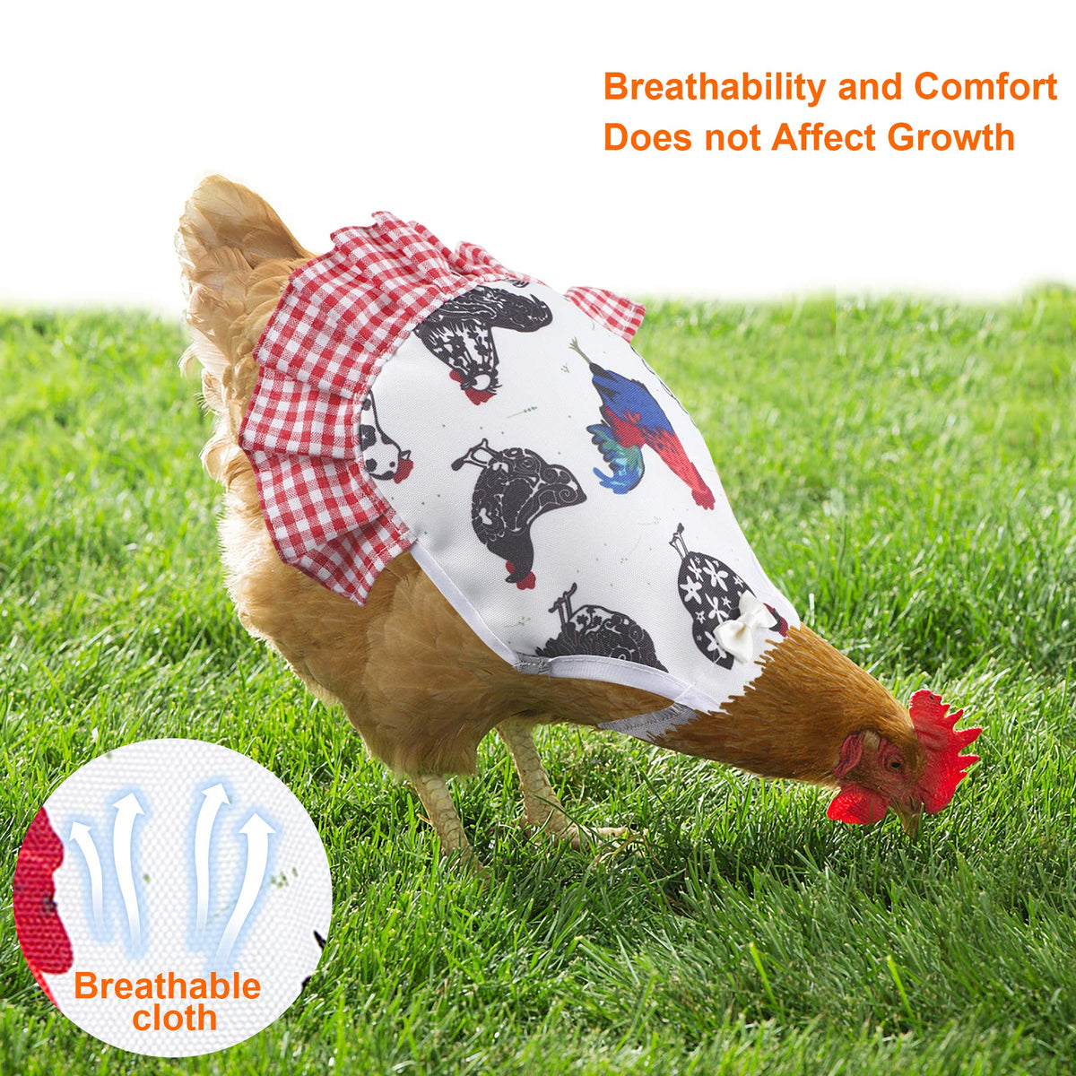PETKNOWS back-wound coverage supports feather regrowth and protection