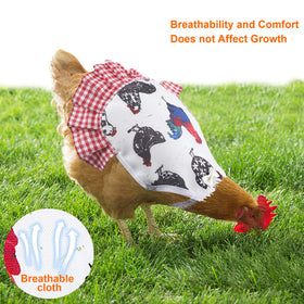 PETKNOWS back-wound coverage supports feather regrowth and protection