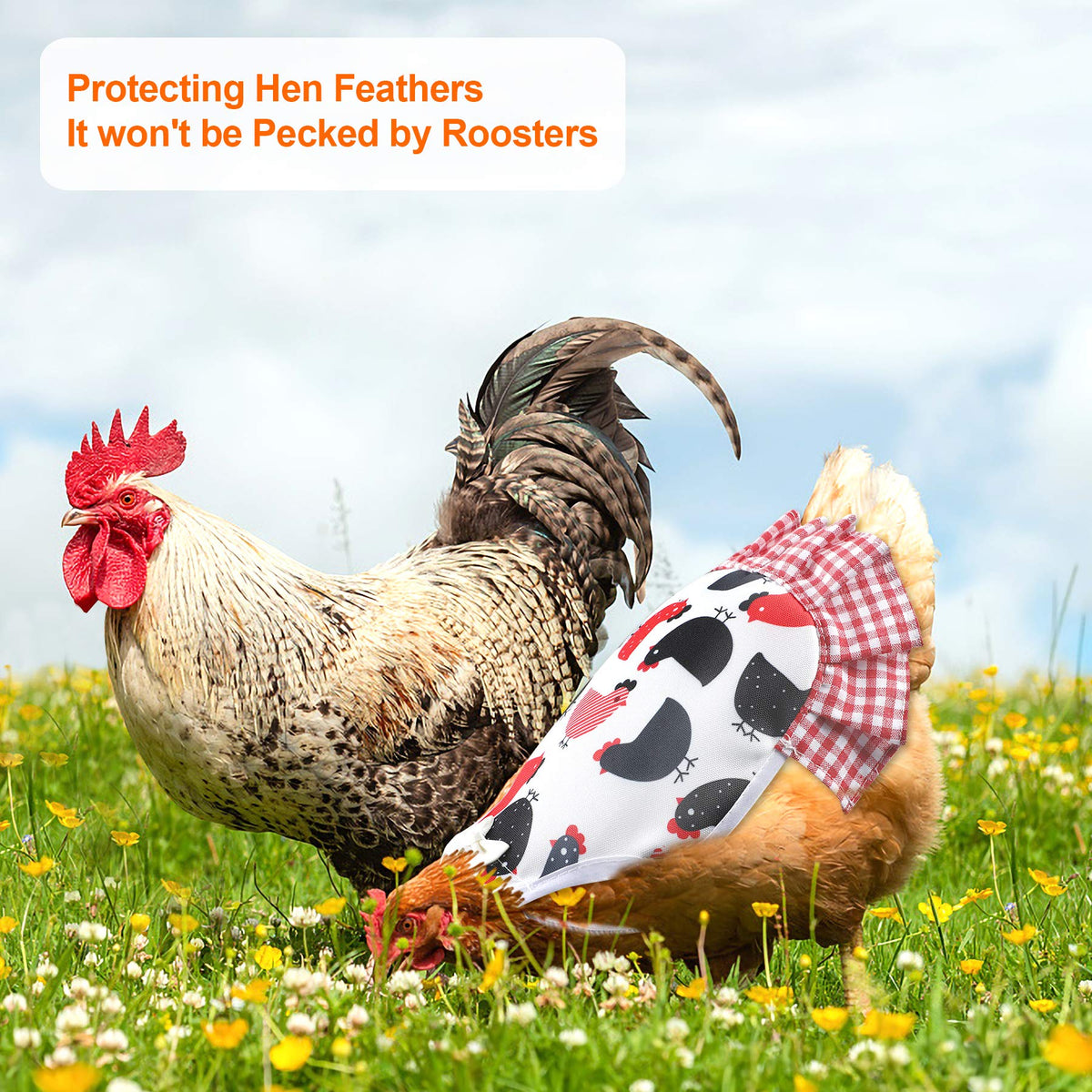 PETKNOWS saddles provide feather growth area while protecting during mating