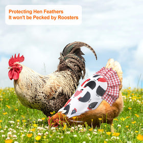 PETKNOWS saddles provide feather growth area while protecting during mating