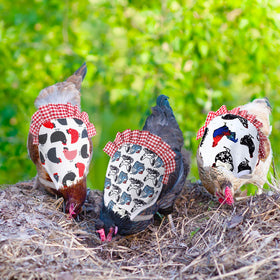 PETKNOWS 3-pack ensures multiple hens can be equipped