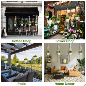 Perfect for boho-inspired homes seeking organized plant arrangements.