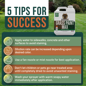 PetraMax green grass paint applied to a brown patch for a refreshed look.