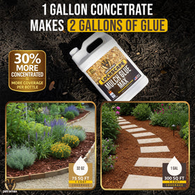 Petra Max Lockscape Mulch Glue for pine straw enhances stability.