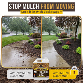 Petra Max Lockscape Mulch Glue spray application shows even coverage.