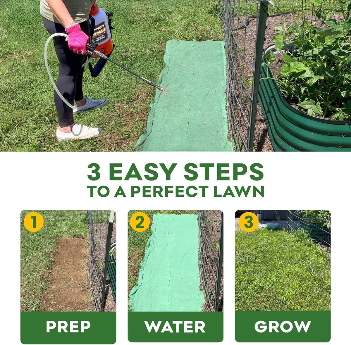 Petramax ReadyRoll heat-tolerant mix thriving in hot southern climates.