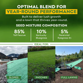 PETRAMAX ReadyRoll requires regular watering in early weeks.