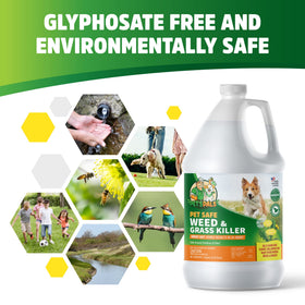 PET'S PALS glyphosate-free spray demonstrates kid-friendly weed control near play areas.