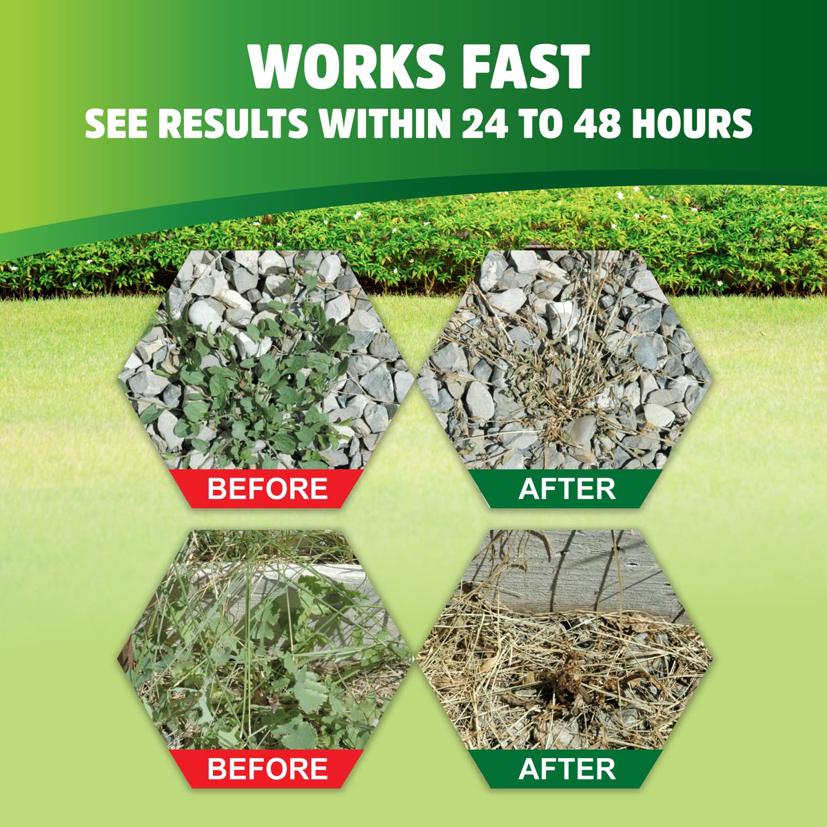 PET'S PALS ready-to-use spray shows fast, broadleaf weed elimination around beds.