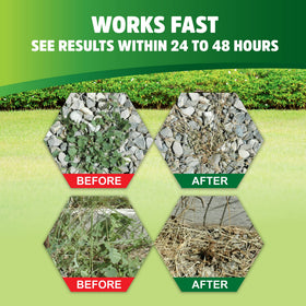 PET'S PALS ready-to-use spray shows fast, broadleaf weed elimination around beds.