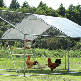Petsfit roost doubles as a chicken toy encouraging natural roosting