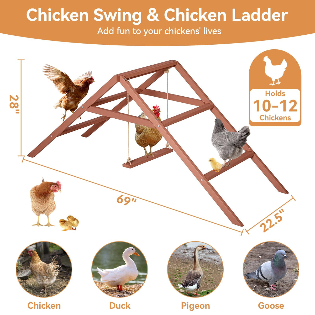 Petsfit durable fir wood chicken roost features a smooth, splinter-free surface.