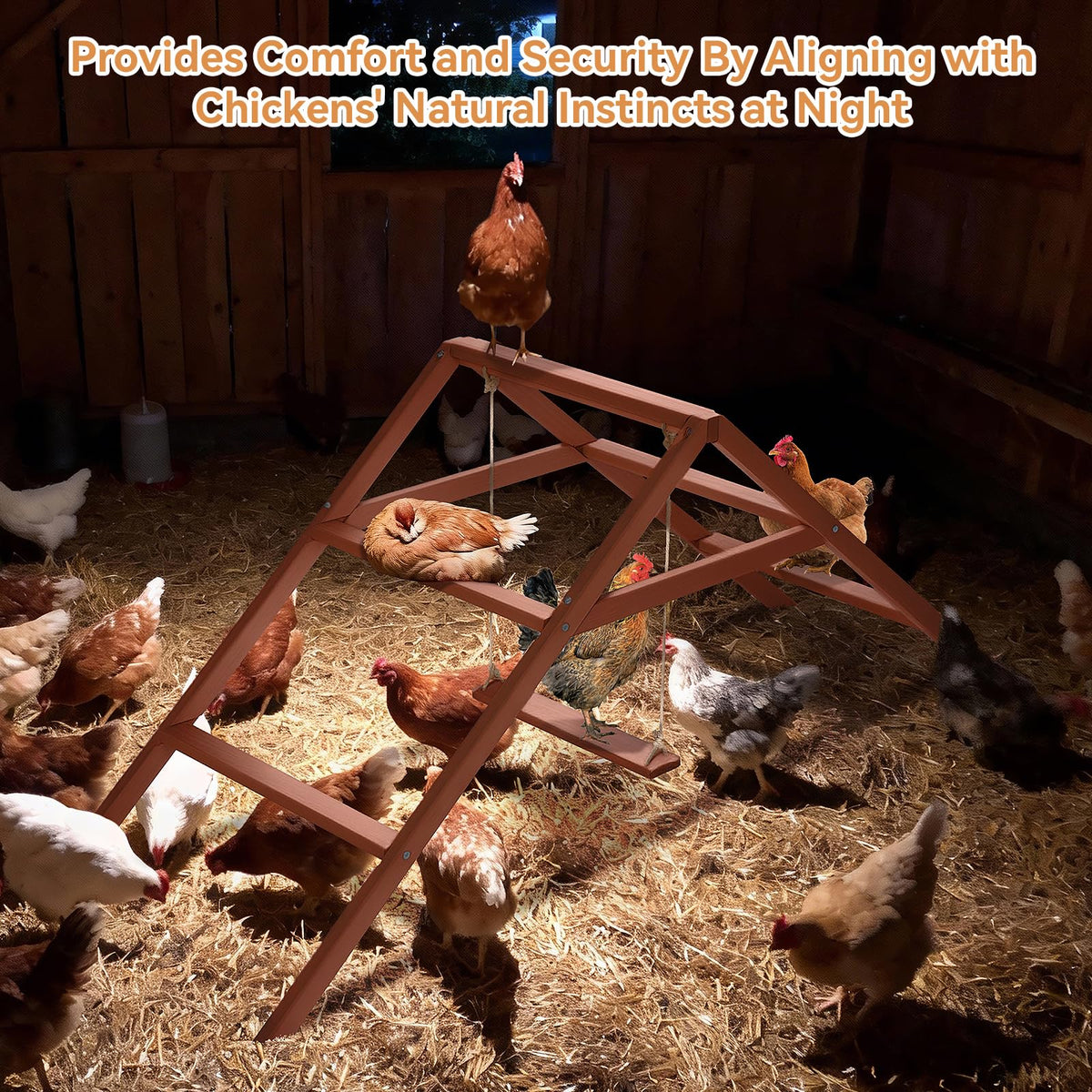 Petsfit easy-clean roosting bars simplify maintenance with wipe-clean surfaces.