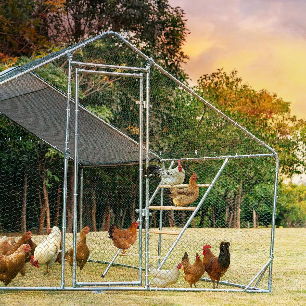 Petsfit smooth-clean surface simplifies maintenance after fresh droppings