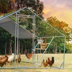 Petsfit smooth-clean surface simplifies maintenance after fresh droppings