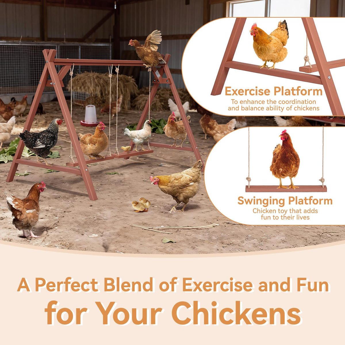 Petsfit multi-level roosting bars for up to eight hens maximize rest and interaction.