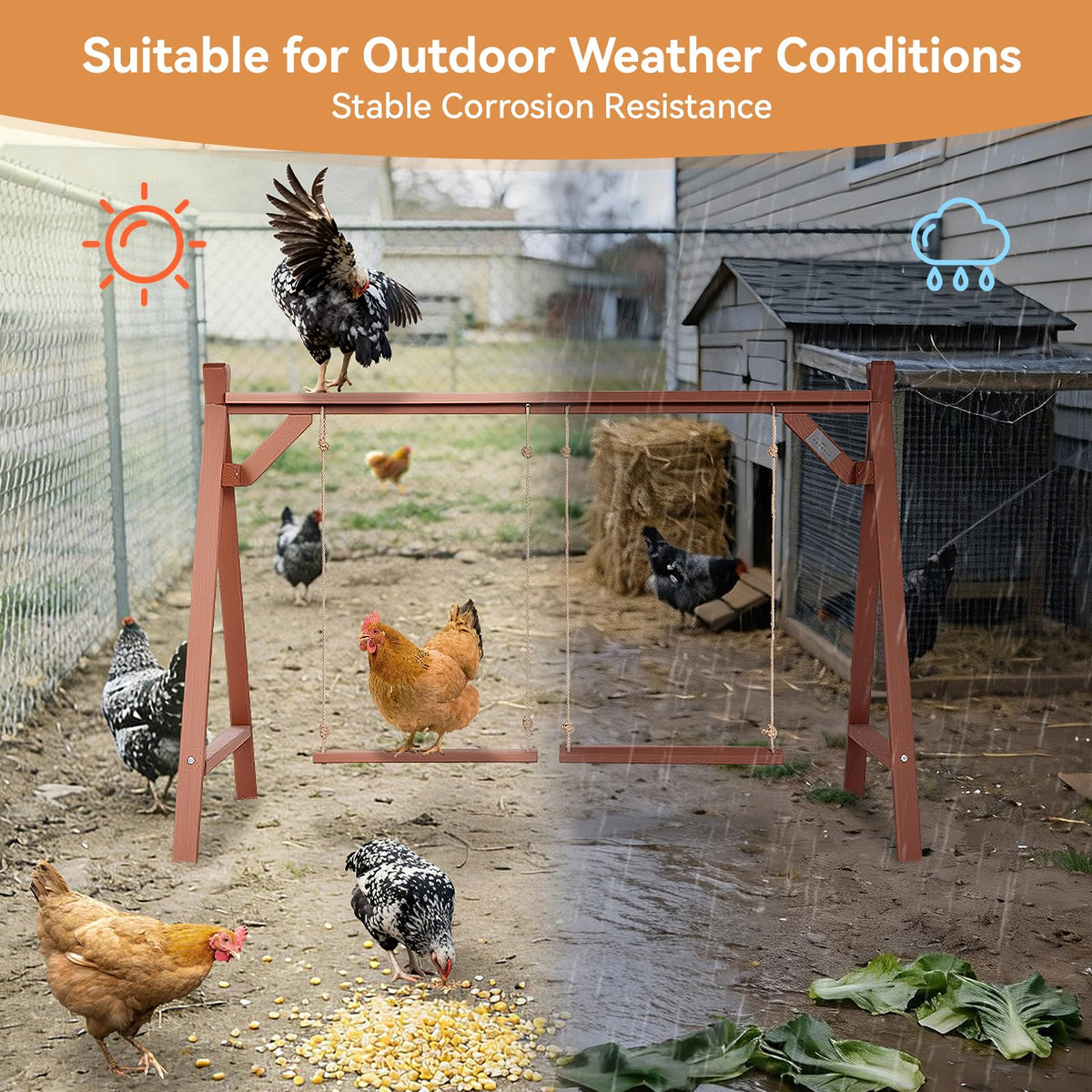 Petsfit outdoor-use coop toy encourages exercise and exploration for chickens.