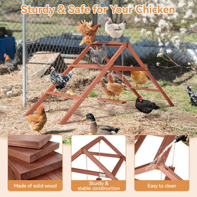 Petsfit spacious chicken roost setup provides ample rest and social time.