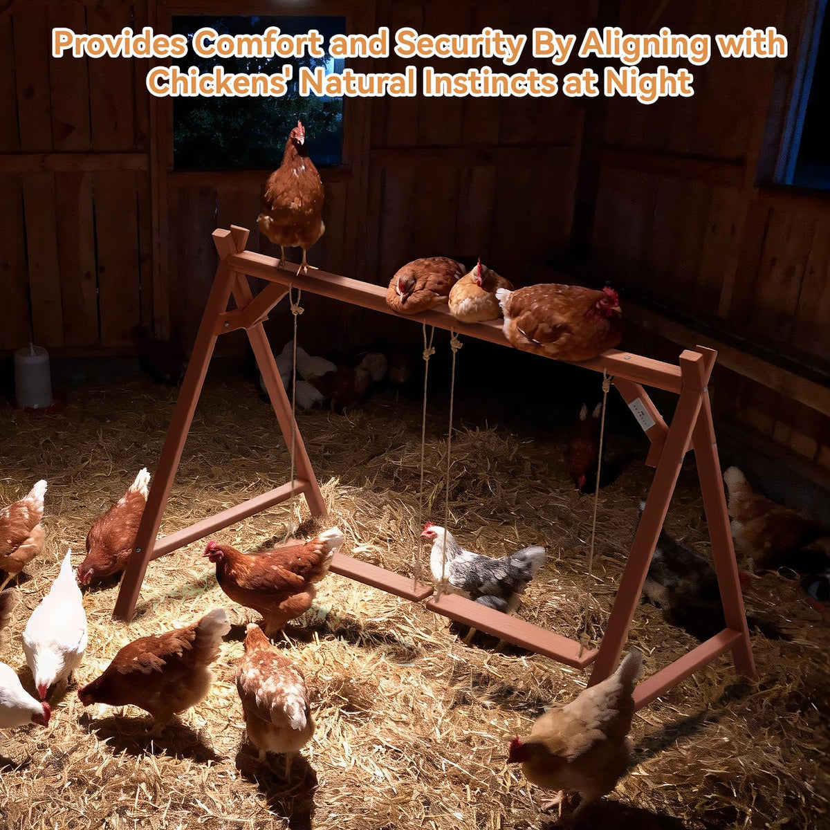 Petsfit spacious 50x30x34 setup fits 6–8 hens comfortably.