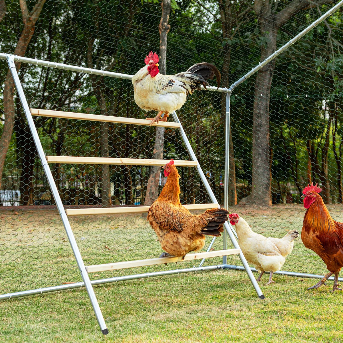 Petsfit square roosting perch – stable square design for secure perching