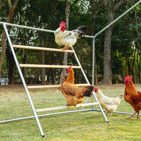 Petsfit square roosting perch – stable square design for secure perching