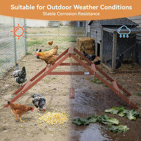 Petsfit swing perch for chickens adds gentle movement and healthy activity.