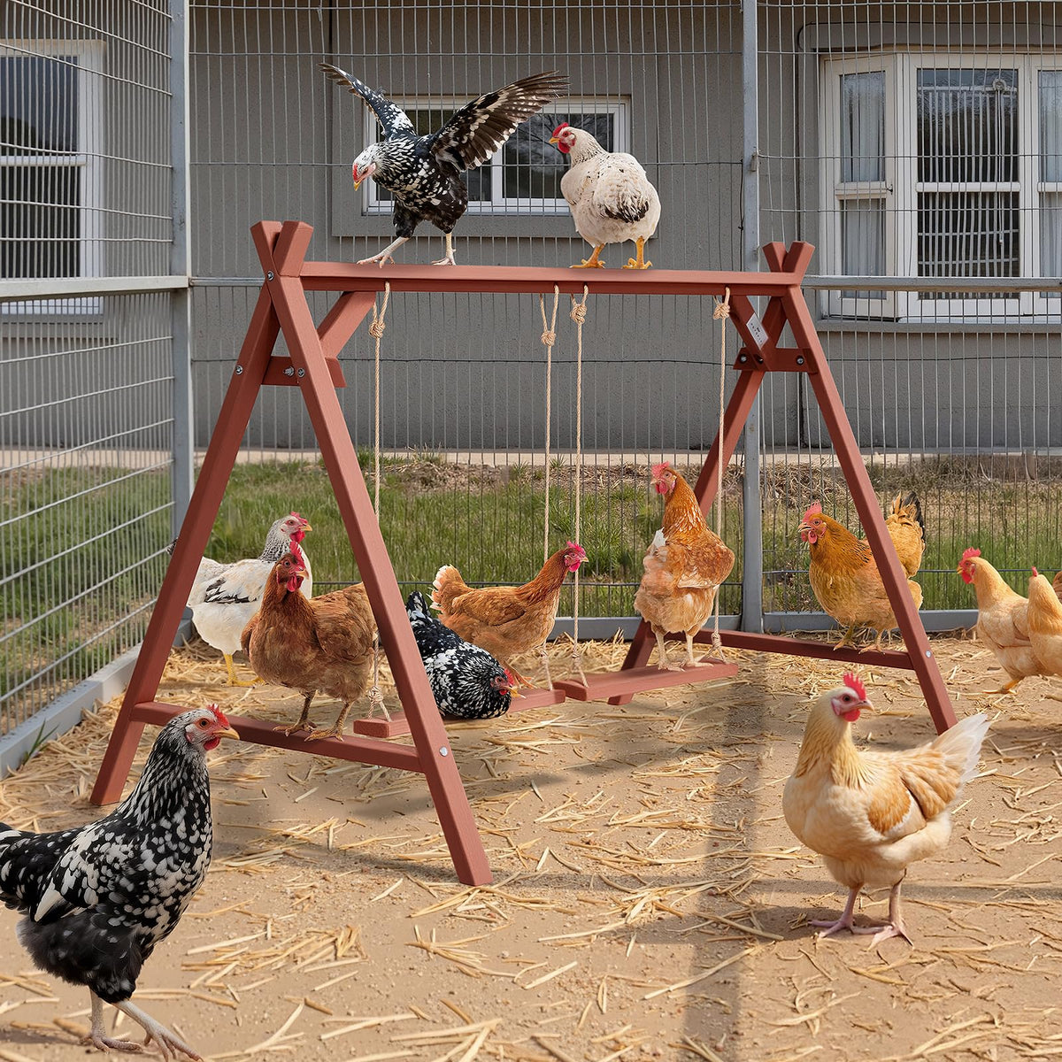 Petsfit weather-ready roost system for year-round chicken enrichment.