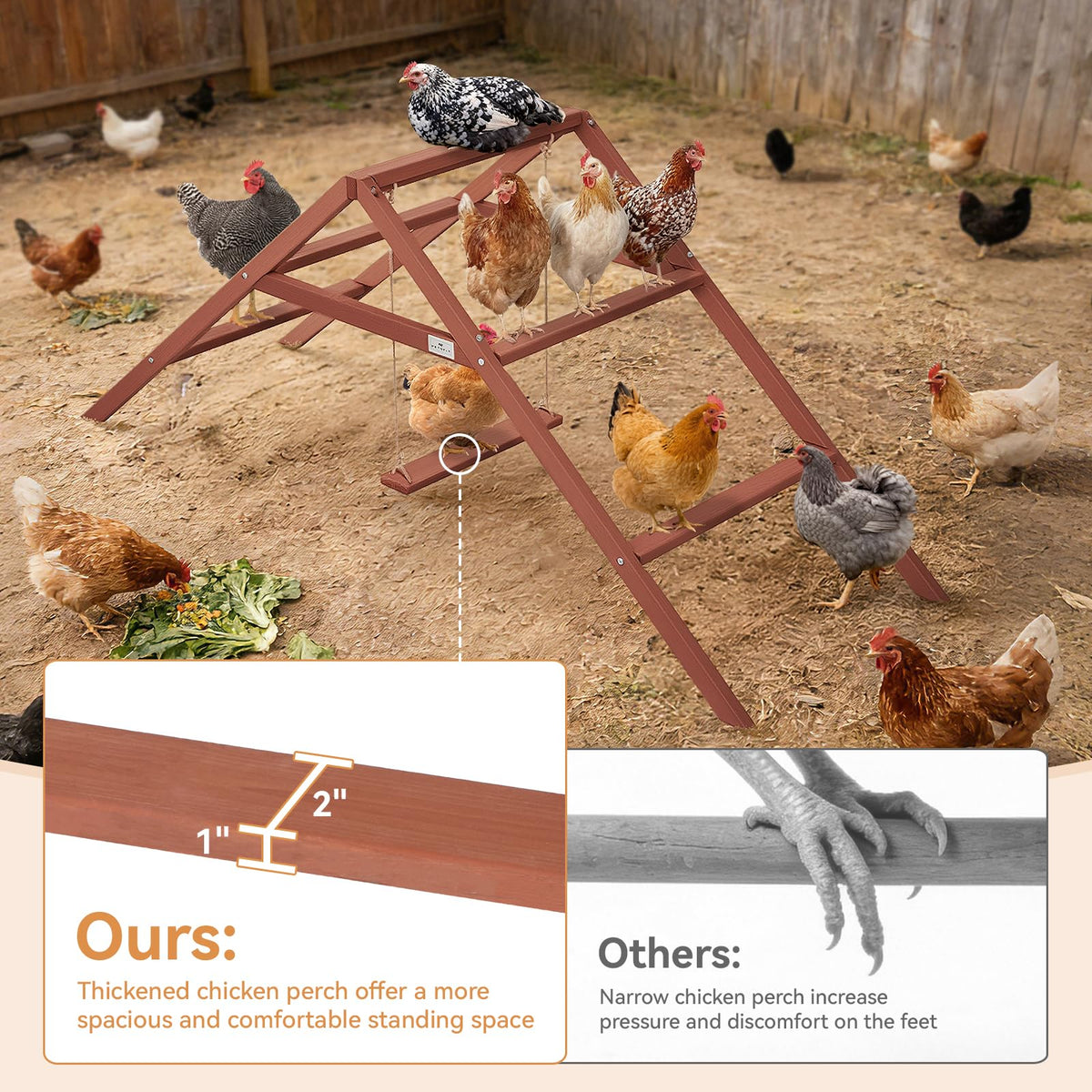 Petsfit weatherproof fir wood roost withstands sun and rain in outdoor coops.