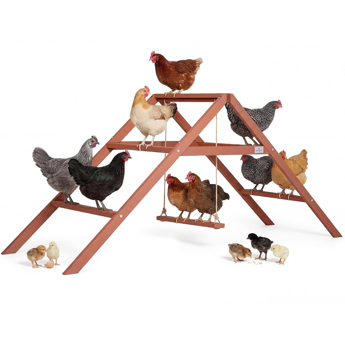 Petsfit wooden chicken perch assembly for easy setup in a spacious coop.