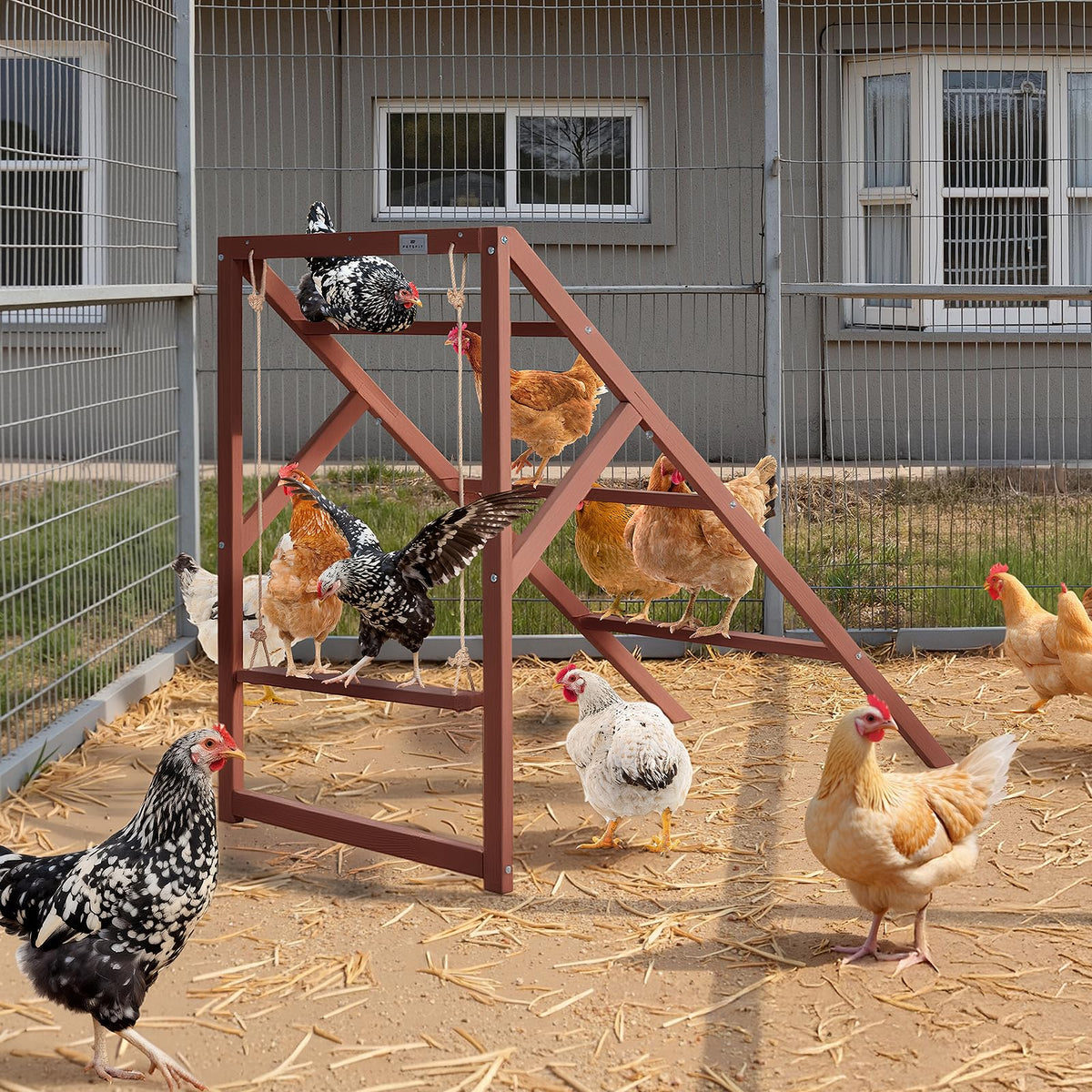 Petsfit durable perches supporting stable movement and safe rest