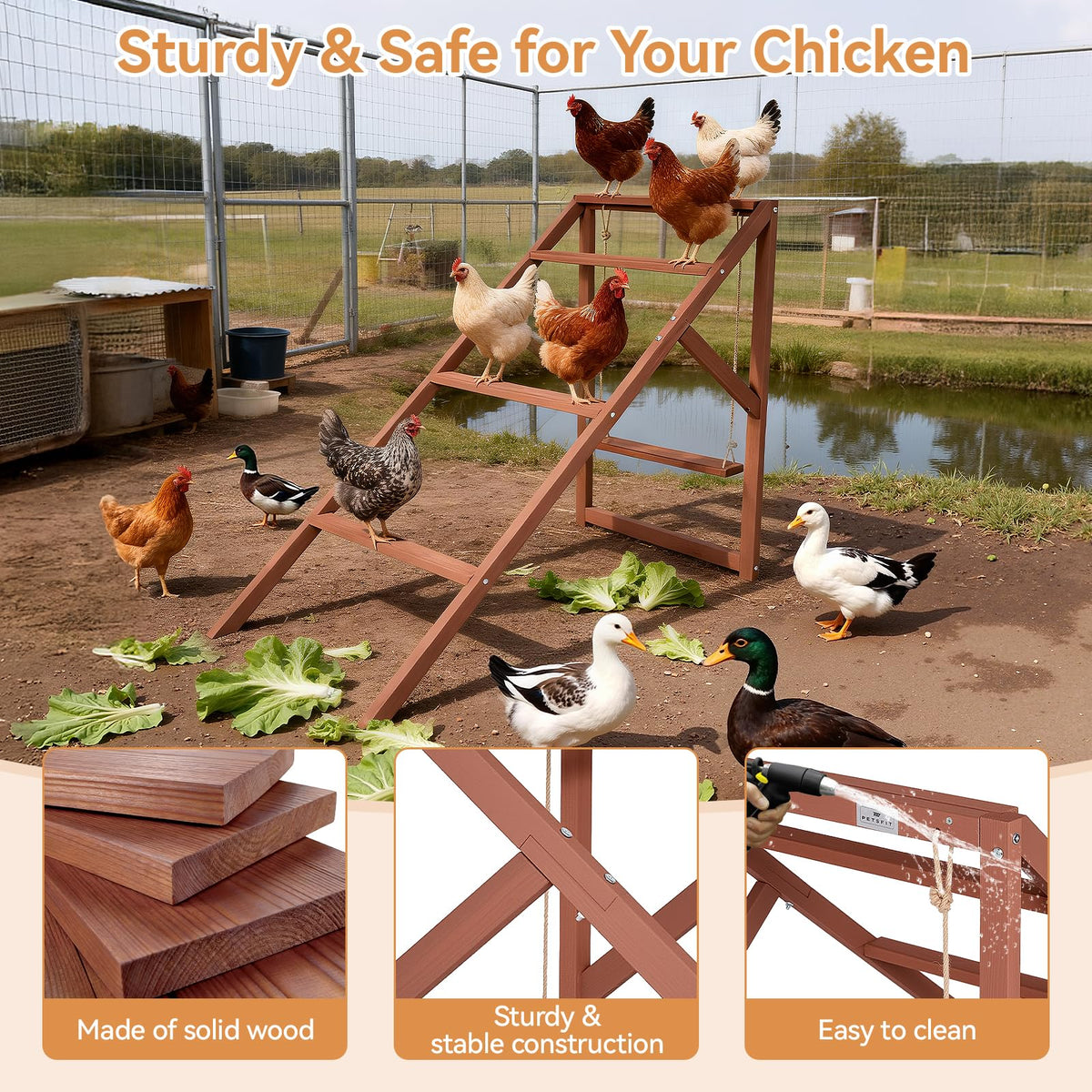 Petsfit four-roost design offering ample perching space for up to eight to ten chickens