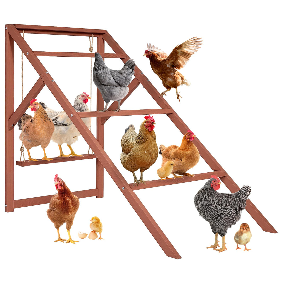Petsfit wooden chicken roosting bars with multi-level design promote natural climbing and resting