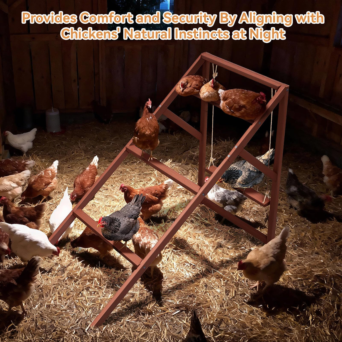Petsfit roosts sized 50L x 26W x 38H suit larger flocks