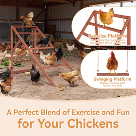 Petsfit roosting bars with swings for gentle play and social bonding